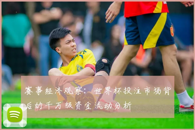 赛事经济观察：世界杯投注市场背后的千万级资金流动分析